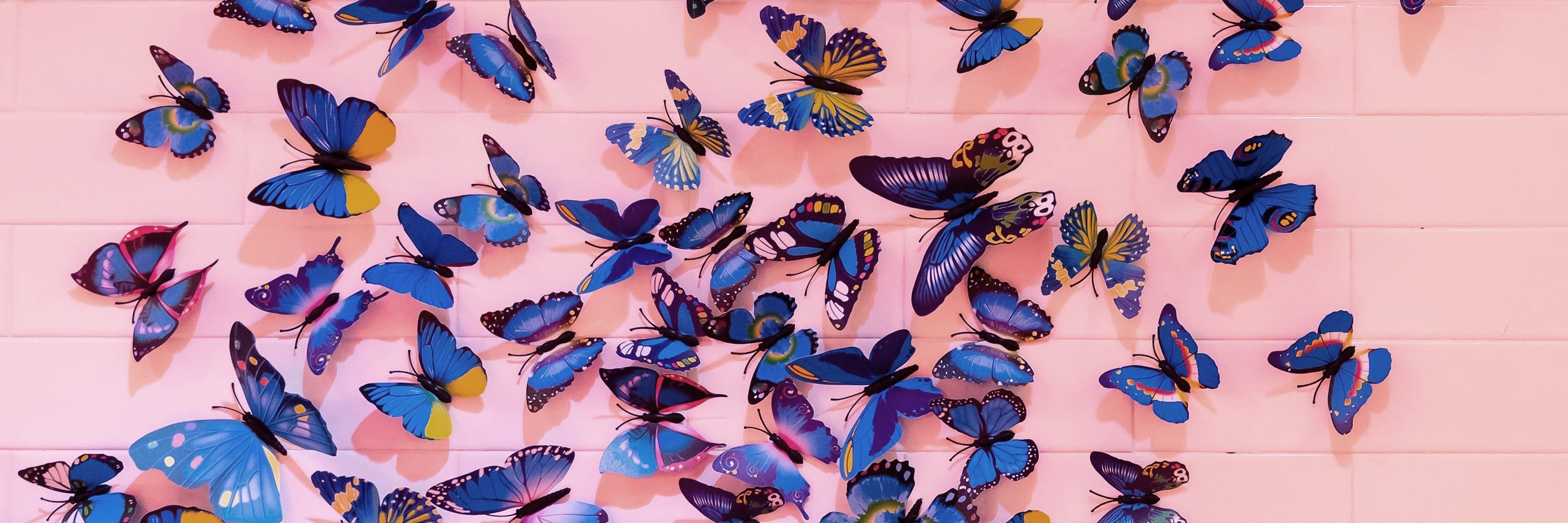 Ever wondered why you get butterflies in your stomach when you feel nervous or stressed?