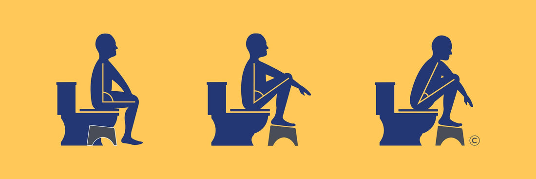 Sit, Squat, or in Between? How Body Position Affects Elimination