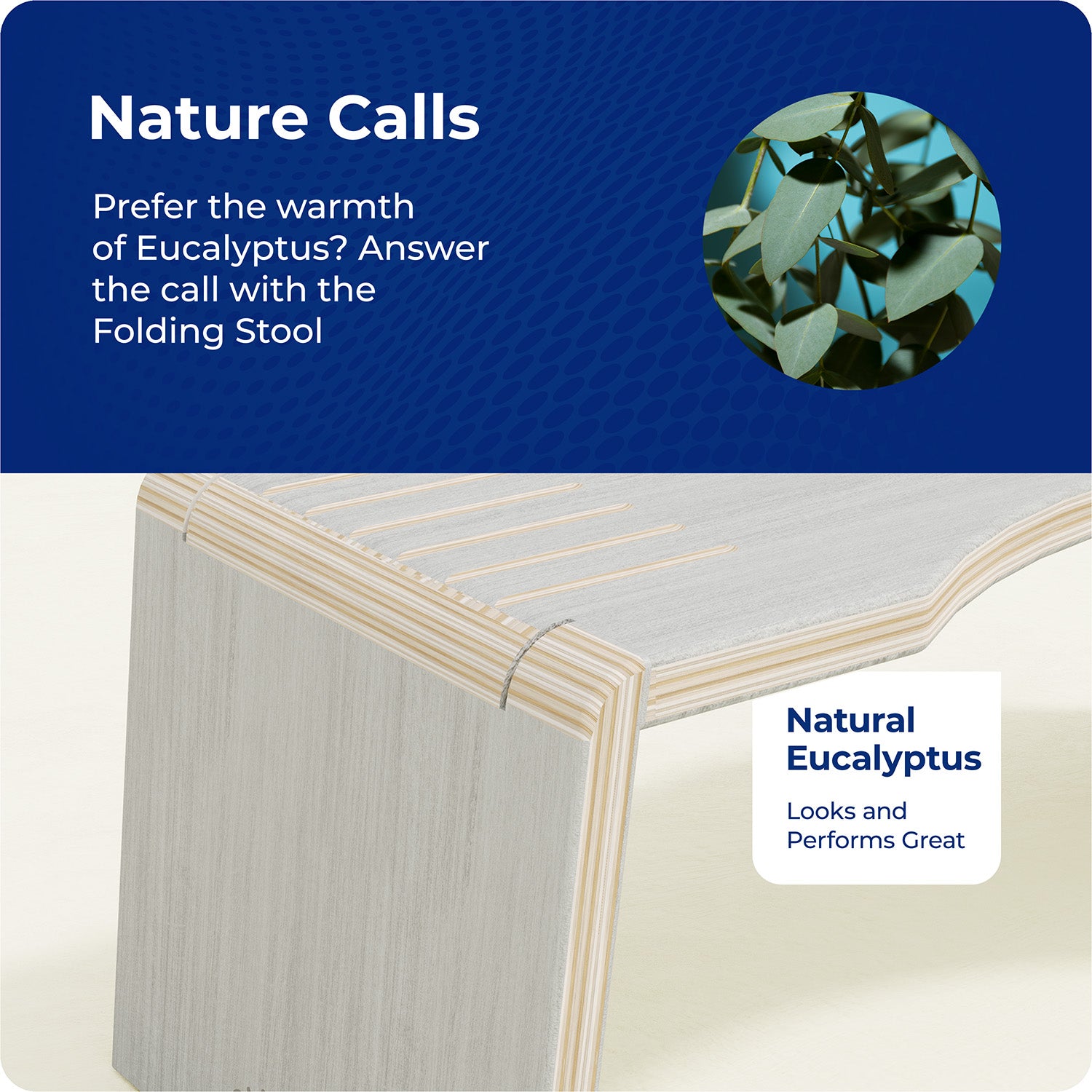 Oslo Eucalyptus Folding Stool
